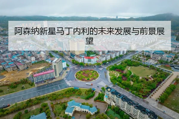 a-sen-na-xin-xing-ma-ding-nei-li-de-wei-lai-fa-zhan-yu-qian-jing-zhan-wang-2-478.jpg