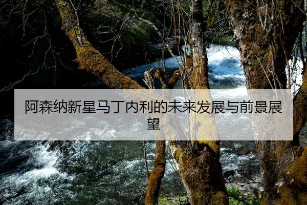 阿森纳新星马丁内利的未来发展与前景展望